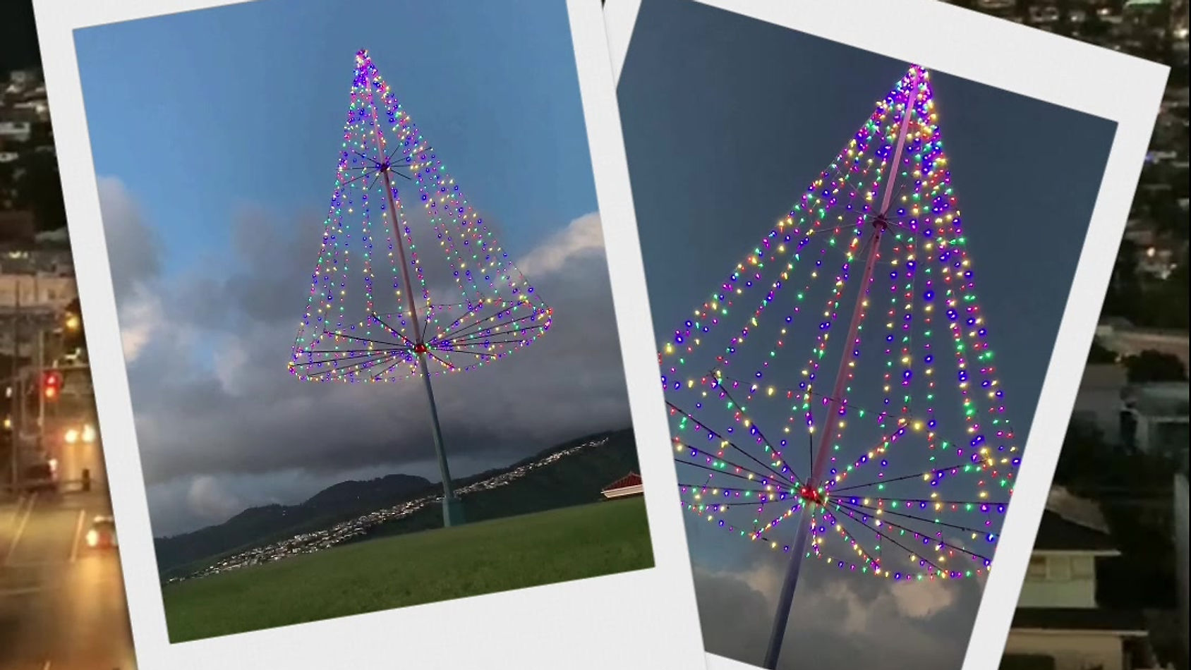 Kaimuki Christmas Tree at Puu O Kaimuki mini park (2021)